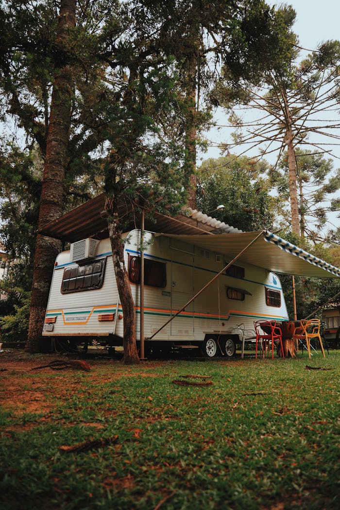 White Rv Vehicle Near Tall Tree